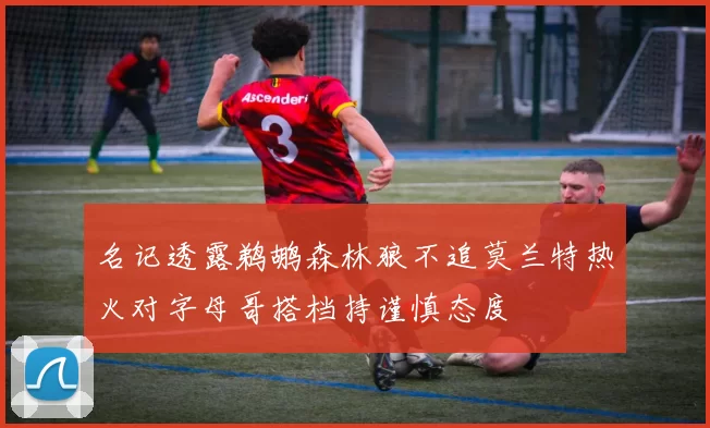 名记透露鹈鹕森林狼不追莫兰特热火对字母哥搭档持谨慎态度